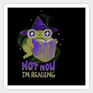 Not now, I'm reading! Magnet